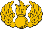 Russian Airborne Troops, small emblem