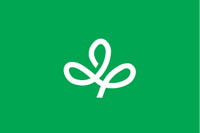 Miyagi (prefecture in Japan), flag - vector image
