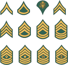 http://images.vector-images.com/217/army_enlisted_rank_insignia_n14271.gif