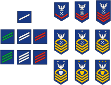 Uscg Ranks