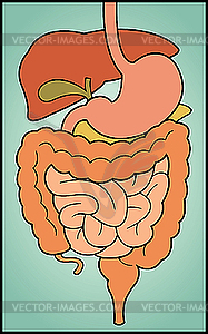 Digestive System Title