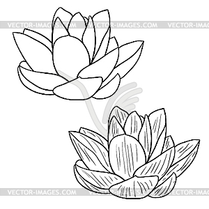 clipart lotus flower