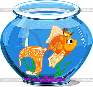 Goldfish Snack Clipart