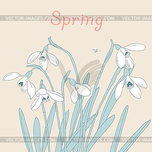 Snowdrops Spring Bouquet Hand Drawn Card Vector Image