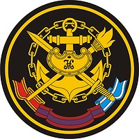Russian Naval Academy, sleeve insignia