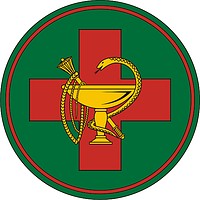 Vector clipart: Main Medical Directorate of the Russian Ministry of Defense, sleeve insignia (2004)