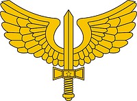 Brazilian Air Force, emblem - vector image