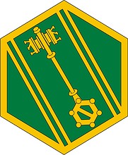 U.S. Army 46 Military Police Command, нарукавный знак