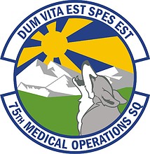 U.S. Air Force 75th Medical Operations Squadron, emblem - vector image