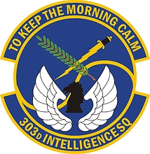 U.S. Air Force 303rd Intelligence Squadron, emblem - vector image