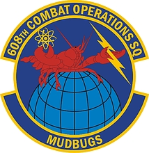 U.S. Air Force 608th Combat Operations Squadron, emblem