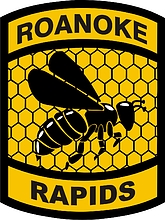 U.S. Army | Roanoke Rapids High School, Roanoke Rapids, NC, нарукавный знак - векторное изображение