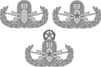 U.S. Explosive Ordnance Disposal (EOD) Badges