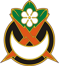 U.S. Army 845th Signal Battalion, distinctive unit insignia - vector image