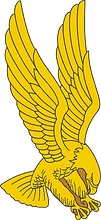 U.S. Army 1st Aviation Brigade, distinctive unit insignia - vector image