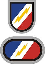 U.S. Army 344th Psychological Operations Company, beret flash and background trimming