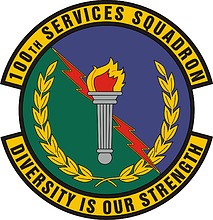 U.S. Air Force 100th Services Squadron, emblem - vector image