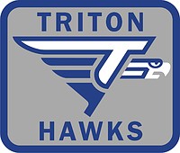 Vector clipart: U.S. Army | Triton High School, Erwin, NC, shoulder sleeve insignia