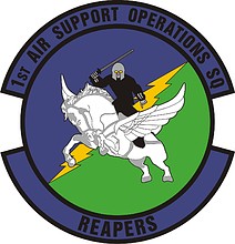 U.S. Air Force 1st Air Support Operations Squadron, эмблема - векторное изображение