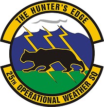 U.S. Air Force 25th Operational Weather Squadron, emblem - vector image