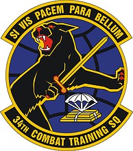 Vector clipart: U.S. Air Force 34th Combat Training Squadron, emblem