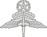 Vector clipart: U.S. HALO parachutist (paratrooper) badge master