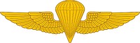 Vector clipart: U.S. Parachutist (paratrooper) badge basic navy & marine