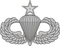 U.S. Parachutist (paratrooper) badge senior - vector image