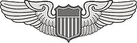 Vector clipart: U.S. Air Force Pilot badge