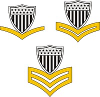 U.S. Coast Guard Petty Officer collar devices - vector image