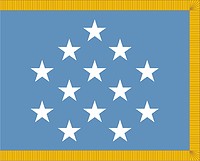 U.S. Medal of Honor, Flag - vector image