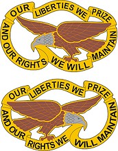 Iowa State Area Command, эмблема (знак различия)