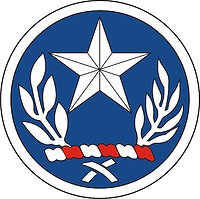 Vector clipart: Texas Army National Guard, Joint Force Headquarters, shoulder sleeve insignia