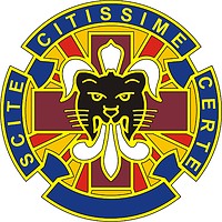 U.S. Army 13th Combat Support Hospital, distinctive unit insignia