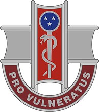 U.S. Army 300th Combat Support Hospital, distinctive unit insignia