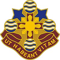 U.S. Army 309th Combat Support Hospital, эмблема (знак различия) - векторное изображение