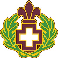 Векторный клипарт: U.S. Army 344th Combat Support Hospital, эмблема (знак различия)