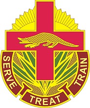 U.S. Army 345th Field Hospital, эмблема (знак различия)