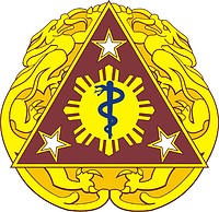 U.S. Army 3rd Combat Support Hospital, distinctive unit insignia - vector image