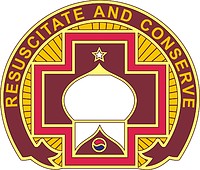 U.S. Army 46th Combat Support Hospital, distinctive unit insignia