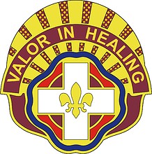 Vector clipart: U.S. Army 134th Combat Support Hospital, distinctive unit insignia