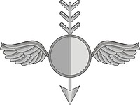 U.S. Navy rating insignia, Aerographer`s Mate (AG) - vector image