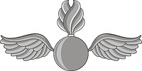 U.S. Navy rating insignia, Aviation Ordnanceman (AO) - векторное изображение