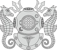 U.S. Navy Diving Medical Technician (DMT) badge - векторное изображение