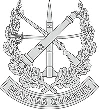 Векторный клипарт: U.S. Army Master Gunner badge (#2)