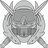 Векторный клипарт: U.S. Army Combat Diver badge