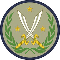 USAE Combined Joint Task Force Operation Inherent Resolve, shoulder sleeve insignia - vector image