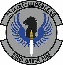 U.S. Air Force 25th Intelligence Squadron, эмблема - векторное изображение