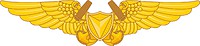 Векторный клипарт: U.S. Marine Corps Unmanned Aircraft Systems Badge (Officer)