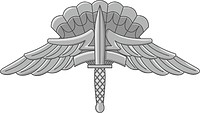 Векторный клипарт: U.S. Army Military Free Fall Parachutist Badge (Basic)